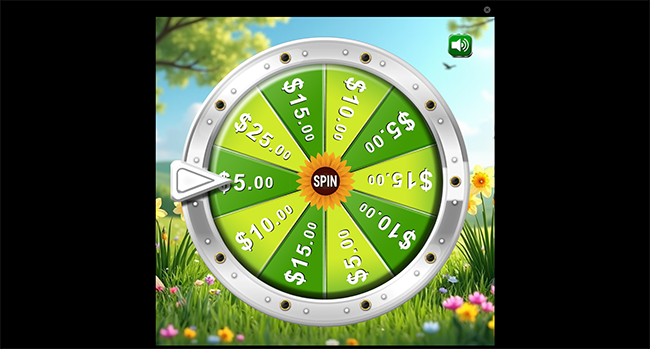 Promotional game — Spin the Wheel