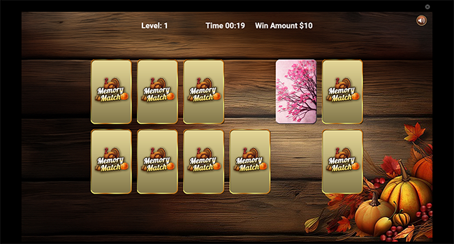 Promotional game — Prize Match